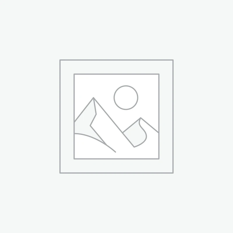 Difusor Palma - Shell Effect - USB - Colour Change - Timer